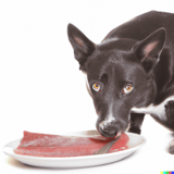 Dog fix, dog treat, pet treats, dog snacks, healthy dog snacks.