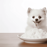 Pomeranian puppy with wide eyes, sitting behind a plate of rice, showcasing adorable and happy pet spirit.