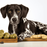 Healthy dog treats, organic olives, and cookies for dogs.