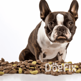 Healthy dog treats with a Boston Terrier puppy on a white background for pet nutrition.