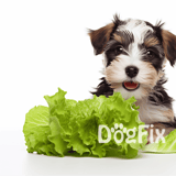 Adorable puppy sitting behind fresh green lettuce, promoting healthy dog food options.