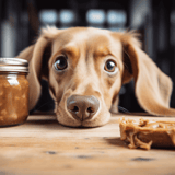 Dog treats on wooden floor with puppy.