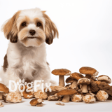 Adorable puppy sitting among wild mushrooms, ideal for pet care and dog health content.