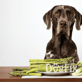 Dog with asparagus and greens, healthy dog diet, nutritious meal for pets, fresh vegetables for dogs.