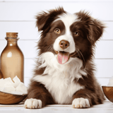 Dog grooming, fur care, healthy coat.