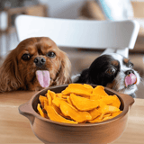 Cute dogs with their tongues out, sitting by a bowl of sliced sweet potatoes on a wooden table.
