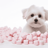 Adorable white fluffy puppy surrounded by pink marshmallows, perfect for pet and sweet treats themes.