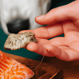 Dog-friendly raw salmon served as healthy treat for dogs, promoting nutritious diet.