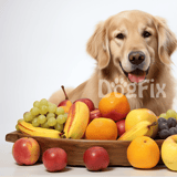 Adorable golden retriever surrounded by colorful fresh fruits, ideal for dog nutrition and wellness.