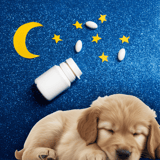 Sleep aid for dogs, natural calming supplements, and pet wellness products for restful sleep.