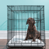 Dog crate, puppy, canine housing, pet safety, dog bed, training crate, indoor pet enclosure.