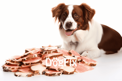 Dog with slices of raw meat for a healthy diet, promoting pet nutrition and wellness.
