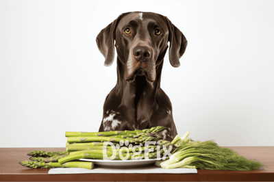 Dog with asparagus and greens, healthy dog diet, nutritious meal for pets, fresh vegetables for dogs.