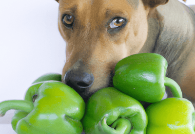 A cute dog sniffing fresh green bell peppers, highlighting healthy pet snacks and dog care tips.