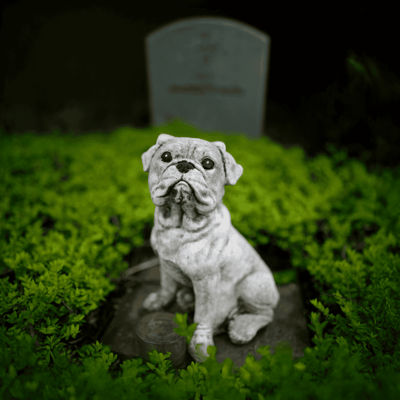 Dog statue, pet memorial, garden ornament, bulldog sculpture, outdoor pet tribute.