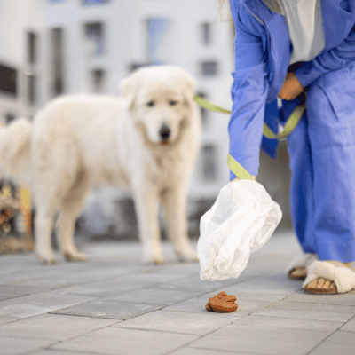 Dog droppings removal service, poop cleanup for clean parks and neighborhoods.