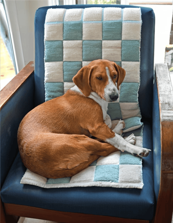 Dog resting on a comfortable blue cushion with a checkered towel.