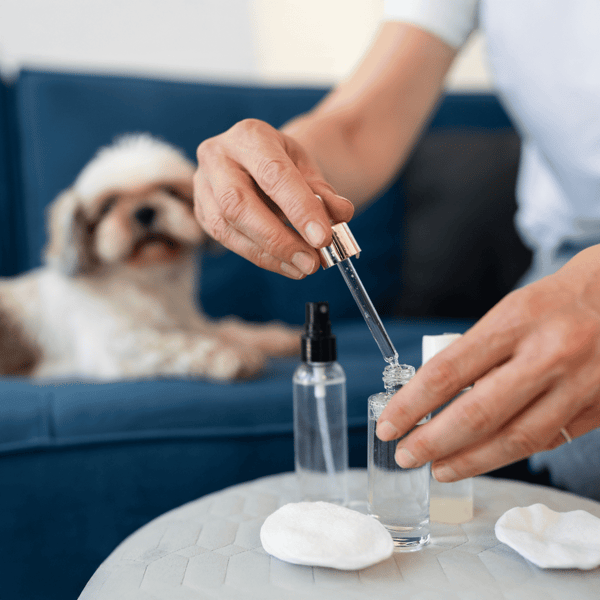 Are Essential Oils Safe for Dogs?