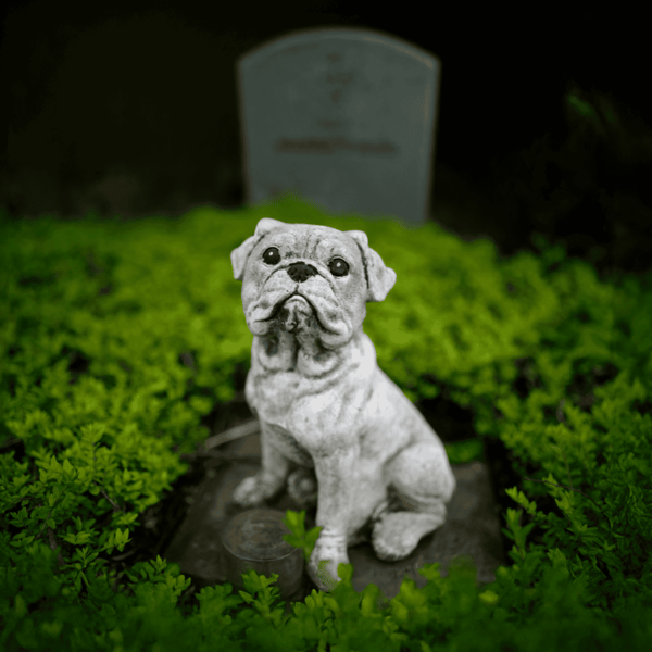 Dog statue, pet memorial, garden ornament, bulldog sculpture, outdoor pet tribute.