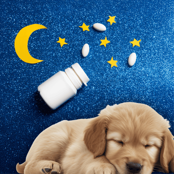 Sleep aid for dogs, natural calming supplements, and pet wellness products for restful sleep.