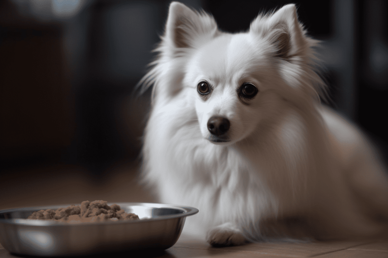 Cute white dog with a bowl of dog food.