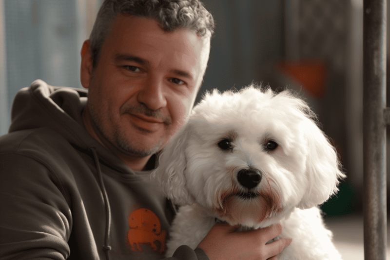 Training Necessities for Bolognese Dogs