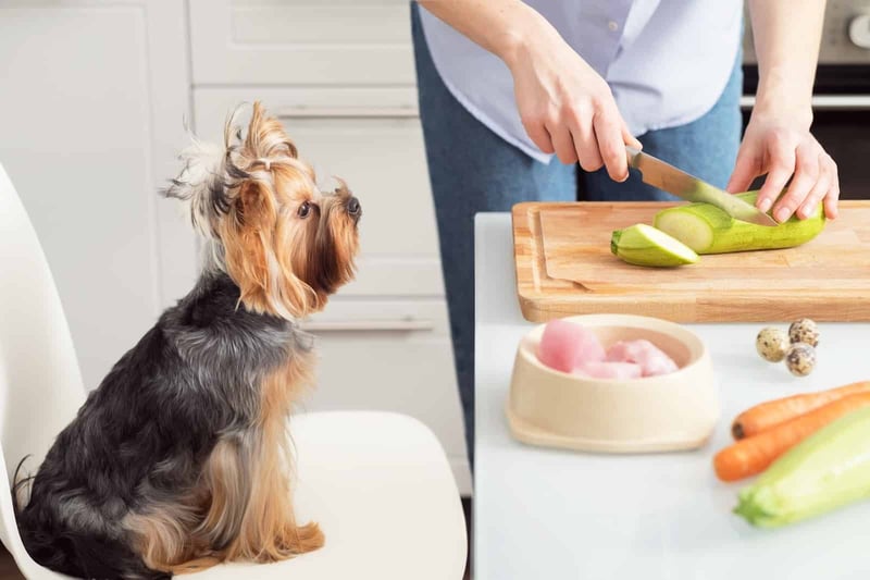 Dog eating fresh vegetables and homemade meal, emphasizing nutritious pet food options.