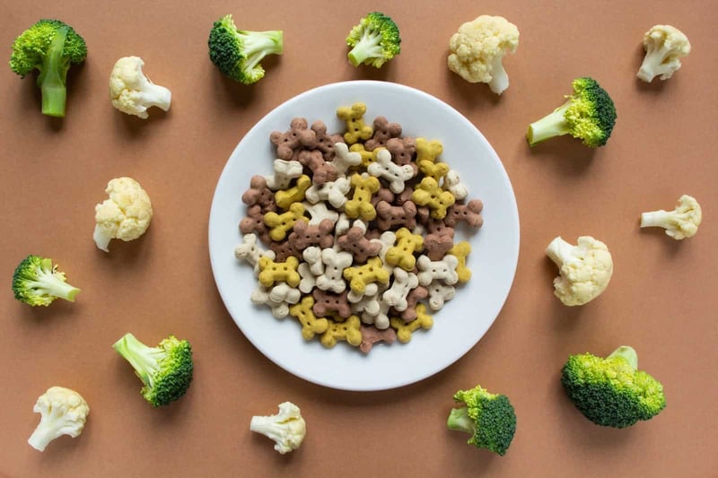 Healthy dog treats on a white plate with broccoli florets around, nutritious and tasty snacks for dogs, pet food, natural dog treats.