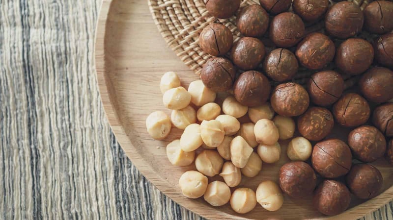 Delicious hazelnuts, healthy snacks for dogs, natural dog treats, crunchy dog food options.