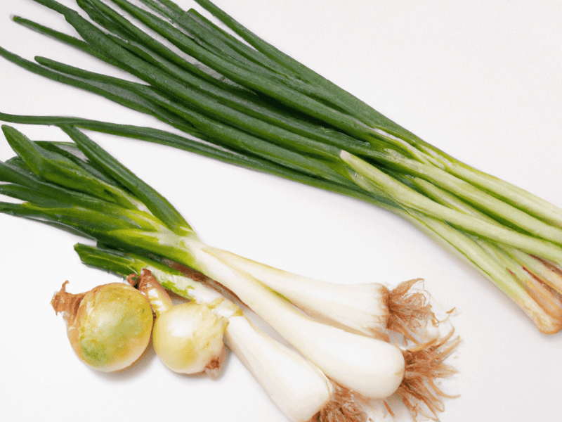 Fresh green onions, scallions, and spring onions for dog nutrition or healthy recipes.