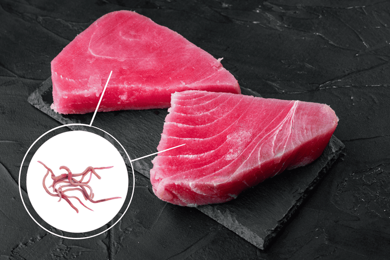 High-quality raw tuna fillet for dog health and nutrition, emphasizing safe, fresh seafood options.