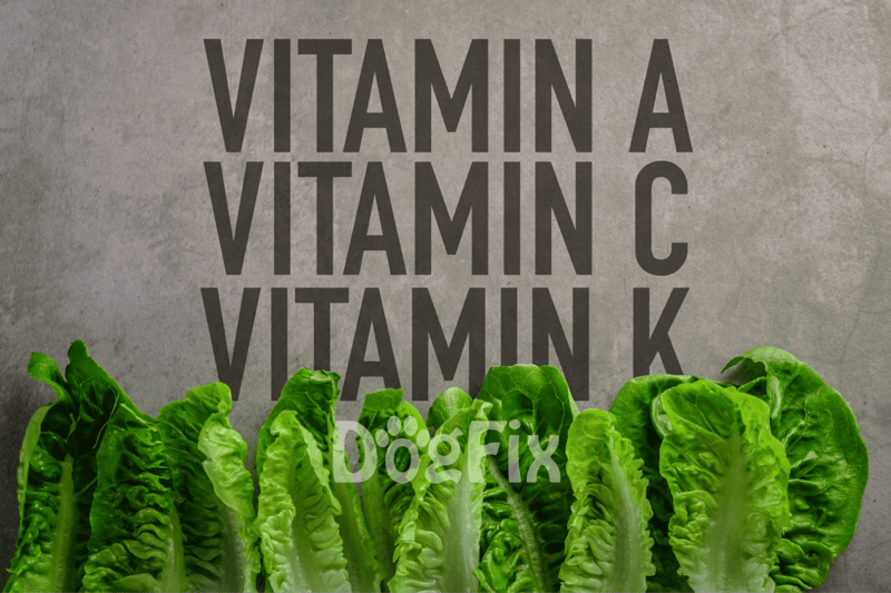 Vitamins dietary supplement for dogs with essential nutrients like A, C, K, and K.