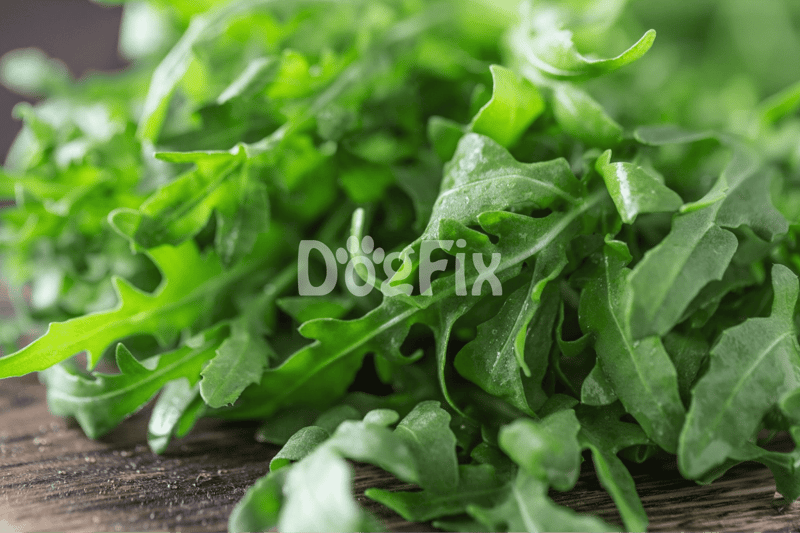 Vibrant arugula leaves providing essential nutrients for dogs on a healthy diet, perfect for digestive health.
