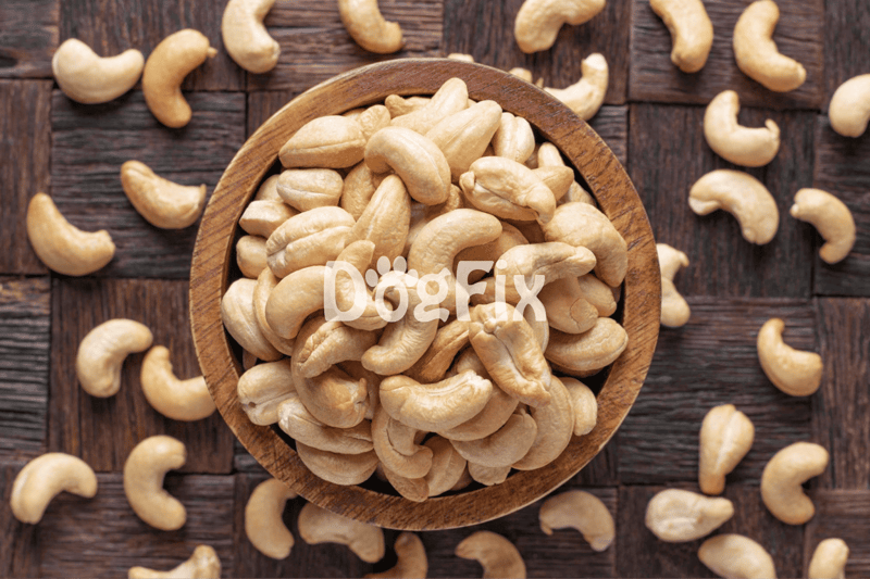 Vegan-friendly, healthy snack option for dog owners and pet lovers.