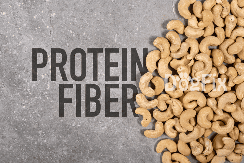 Healthy dog treats with high protein and fiber for canine wellness.