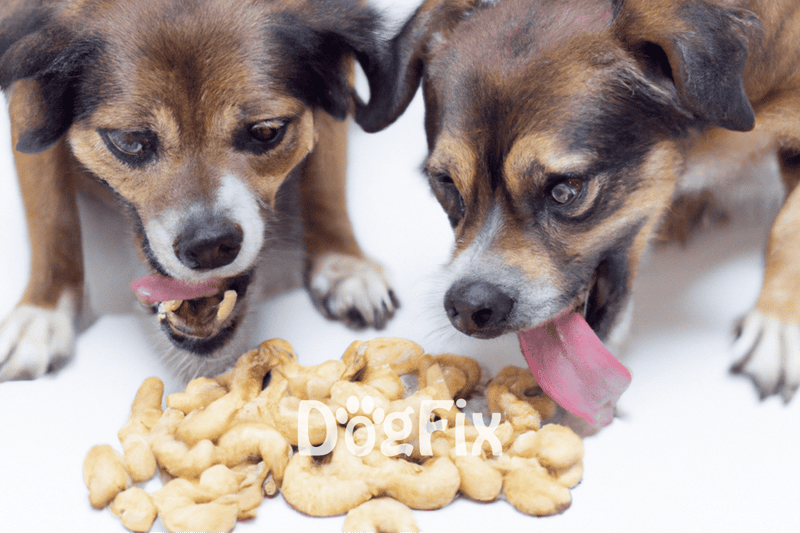 Two playful puppies enjoying dog treats on a white background.