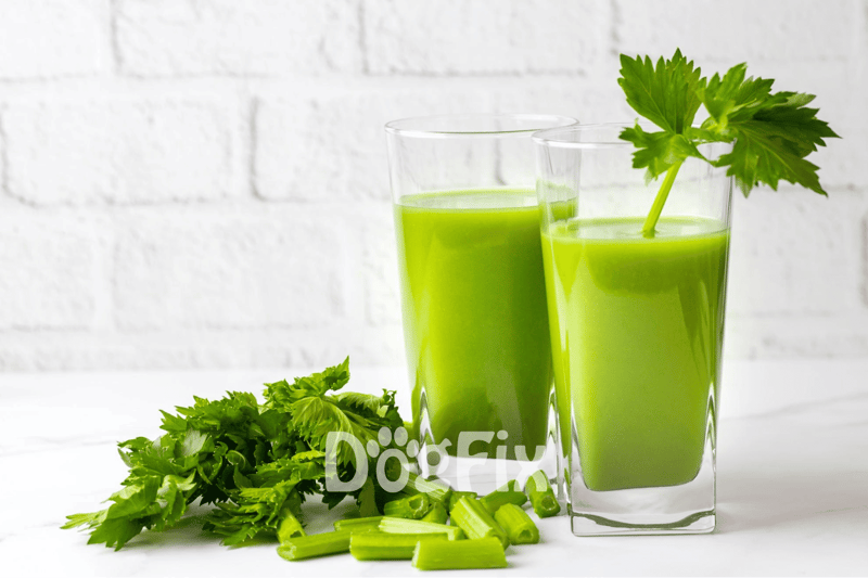 Refreshing green vegetable juice with celery and parsley on white background.