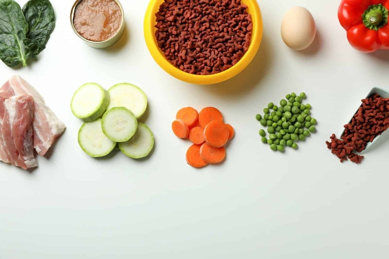 Fresh vegetables, meat, and dog food in a clean, organized layout.