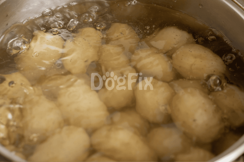 Close-up of potatoes boiling in a stainless-steel pot, ideal for preparing healthy dog food recipes.