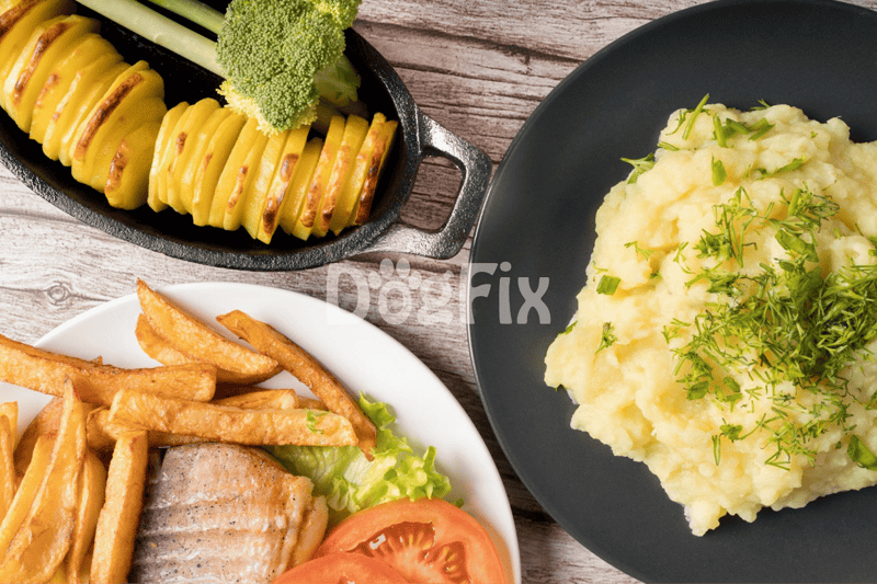 Healthy dog food meal with mashed potatoes and fresh vegetables.