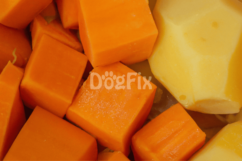 Bright orange and yellow vegetables, ideal for natural dog food recipes and nutritious snacks.