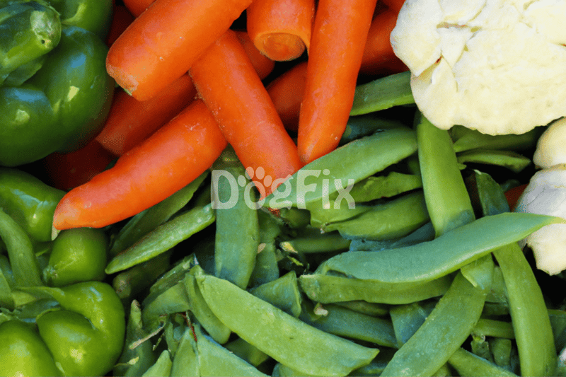 Colorful fresh vegetables including green peppers, carrots, and cauliflower for healthy dog diet.