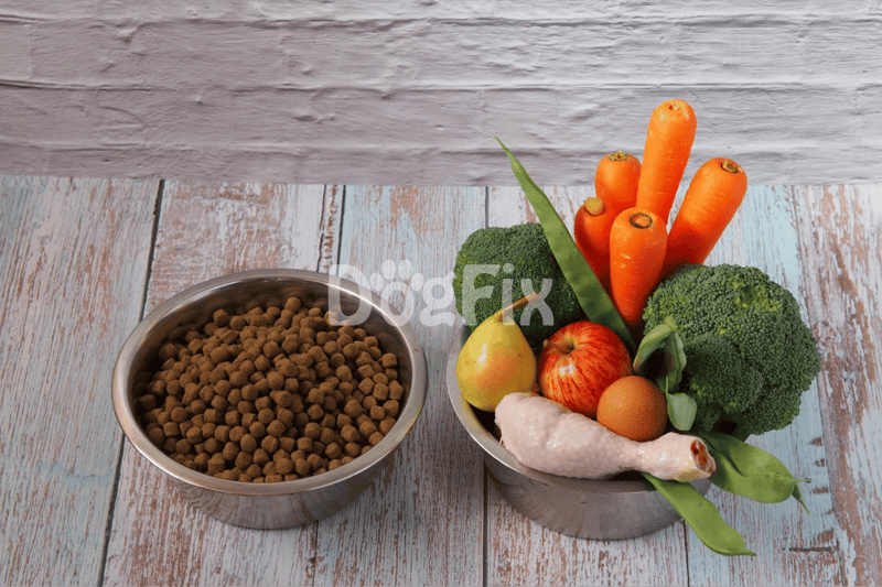 Fresh dog food ingredients, including vegetables, fruits, and chicken for balanced pet nutrition.