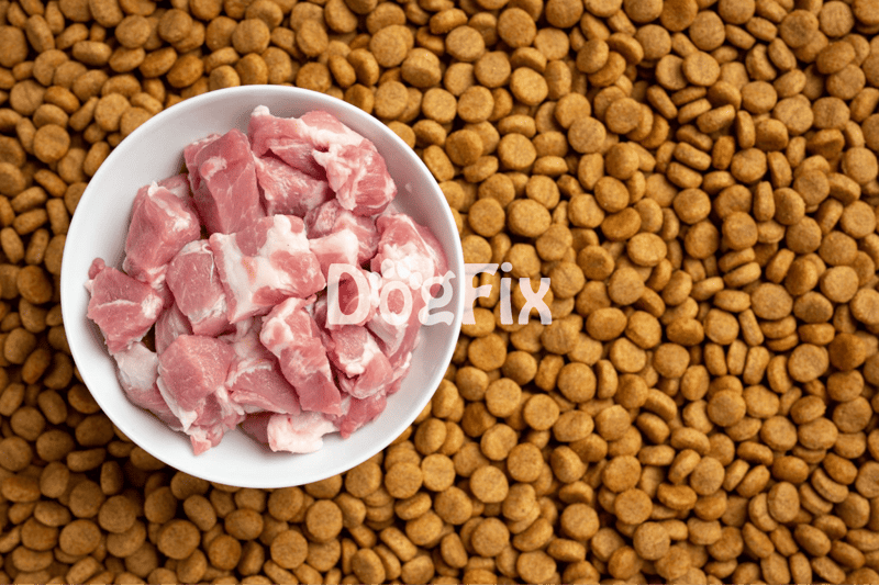 High-quality raw chicken meat for dog diet, placed on dry kibble for pet nutrition.
