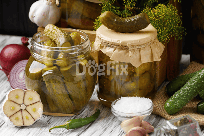 Fresh pickles and vegetables in jars, garlic, and seasonings for homemade dog treats and healthy pet food options.