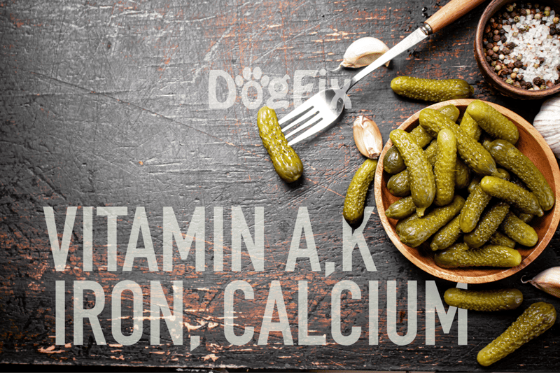 Healthy homemade pickles with garlic and spices, perfect for dog nutrition and vet-approved snacks.