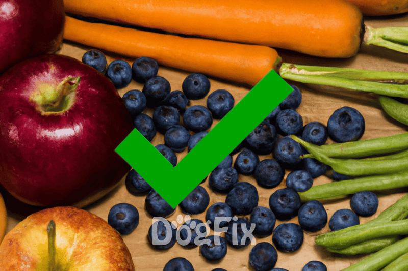 Healthy fresh blueberries and vegetables ideal for nutritious dog snacks and pet health.