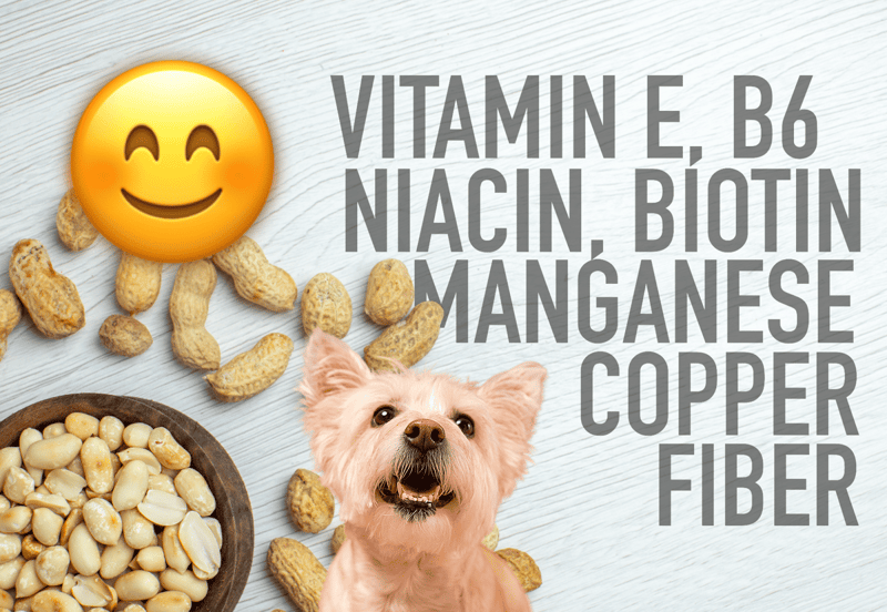 Rich in Vitamin E, B6, Niacin, Biotin, Manganese, Copper, and Fiber for canine health.