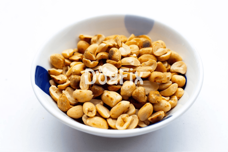 Close-up of roasted peanut treats for dogs in a white and blue bowl.