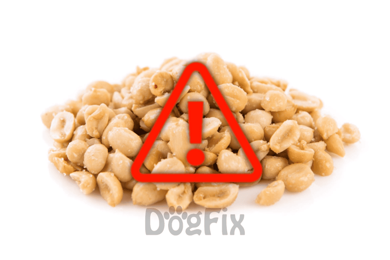 Warning: Macadamia nuts are toxic to dogs and should be kept out of their reach.